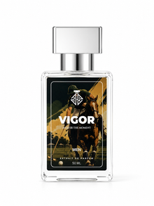 Vigor by Ainor Essence For Men